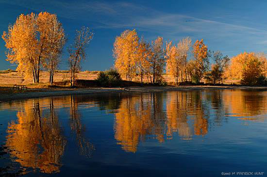 1551572_10152087388046390_800213733_n